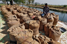 Top rice supplier India bans some exports
