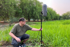 Listen closely: French sound artist Guillaume Rousere collects sounds in nature north of the Qatari capital Doha on Sept. 4. 