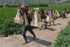 What can we expect from the 2023 Agricultural Census?