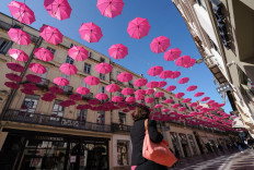Targeting mutation slows breast cancer spread, study finds 