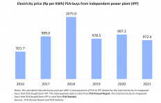 Electricity pricing policy to promote renewable energy