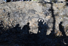 Is World War III coming?