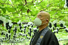 'Unique in Japan': a temple dedicated to grapes and wine 