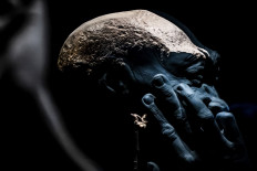 Indonesia wants 'Java Man', art back from Dutch museums