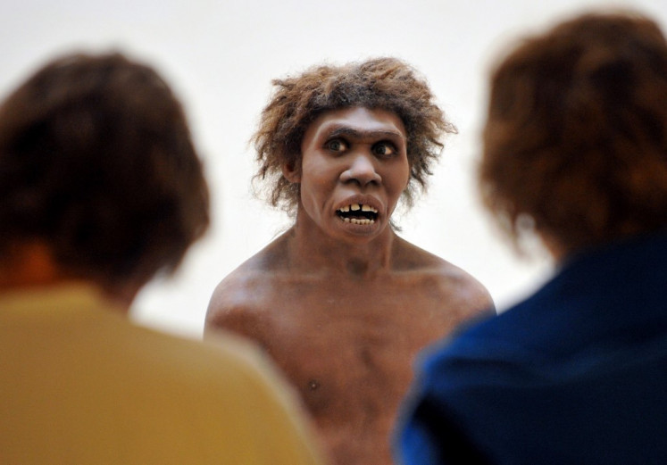 A photo taken on July 2, 2008 in Eyzies-de-Tayac, Dordogne, shows a model representing a Neanderthal man on display at the National Museum of Prehistory. 