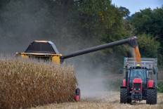 Food shock: Crop-battering disasters highlight climate threat