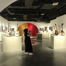 Artists highlight the aesthetics of sustainability 