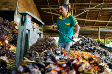 Indonesian banks take ESG approach with grain of salt