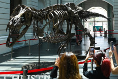 T-rex in Singapore as experts decry ‘harmful’ auctions 