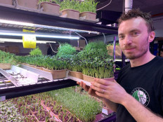 Former chef turns to urban farming under Sydney business district