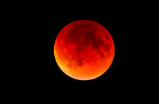 Look up: Total lunar eclipse will be seen across Indonesia tonight