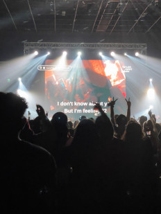 Blowing off steam: Fans of karaoke parties say it is musical medicine, as people can release stress by singing along to their favorite songs. (JP/Aloysius Efraim Leonard)