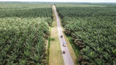 Time for Indonesia to forget European palm oil market