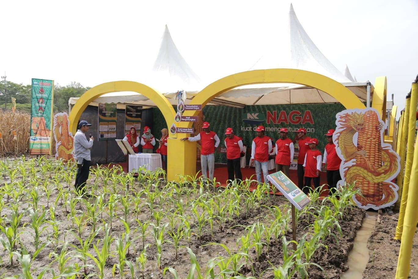 Syngenta launches new corn-seed facilities and official e-commerce ...