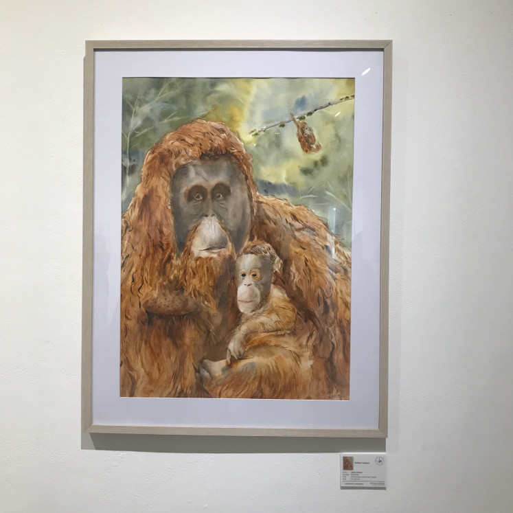 Fuzzy sort of love: Jaden Anders captures the warmth and love of an orangutan mother and child through 