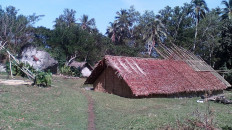 Most villages in north Pentecost have traditional buildings known as 'gamali' with thatch roofs that extend to the ground and are less likely to fly off in high winds.