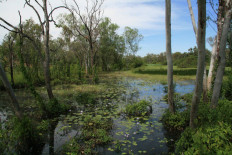 Good, clean, deep water is becoming less accessible in many remote parts of the Northern Territory, Australia.