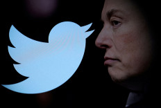 Musk says video and audio calls coming to Twitter