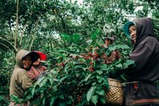'Bali Coffee Origin's New Wave': A book for connoisseurs and conversations
