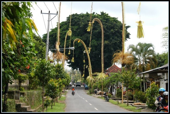 Adorn the neighborhood: Streets in Bali are decorated by 'penjor' (ornaments made of coconut leaf) during Christmas and New Year's Eve. (Flickr/John Skodak)
