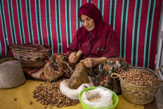 Shunned by youth, Morocco cosmetic oil craft faces uncertain future 