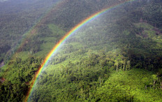 Perlunya perlindungan hutan Malaysia yang lebih baik