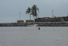 Scientists sound alarm as ocean temperatures hit new record