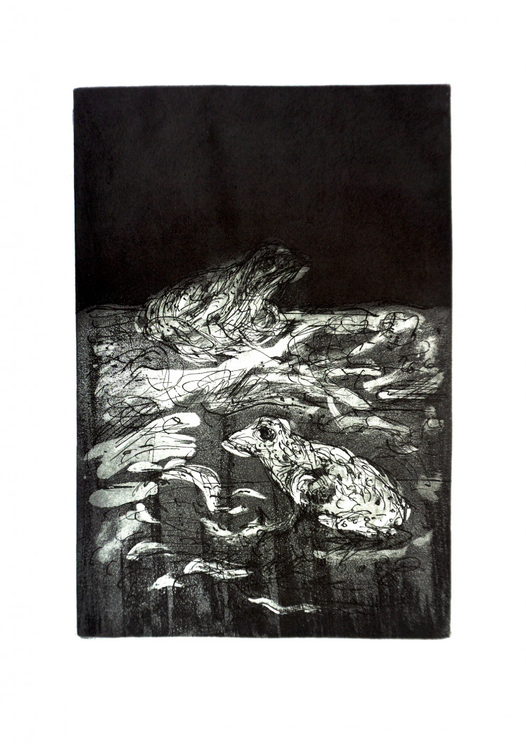 Frogged: 'Para Katak' by Goenawan Mohamad. (Courtesy of DEVFTO).