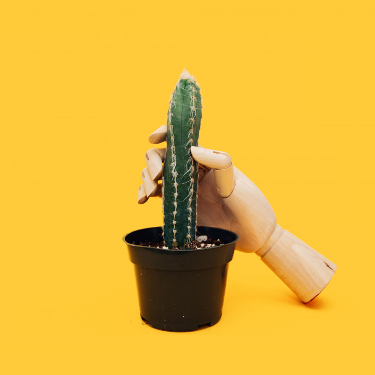 All in the mind: Amirin admitted that the act of masturbation is the healthiest sexual behaviour given that it is conducted without pornography and purely involving ones own fantasy (Unsplash/Charles Deluvio)