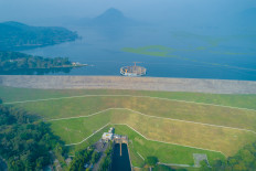 Ministry investigates mass fish deaths at Jatiluhur dam