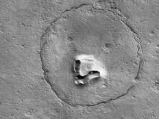 Is there life on Mars? Maybe, and it could have dropped its teddy