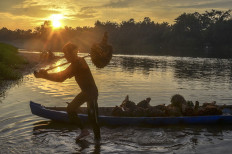 A worker loads bunches of oil palm fruit on a boat for transportation along the Kampar River on August 13, 2022, to the processing plants in Kampar, Riau.