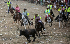 A Garrrochero, horse rider, uses a pole to spin a bull during a Corraleja, in Arjona, in Bolivar state on March 20, 2015.