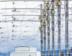High-frequency Active Auroral Research Program (HAARP) facility in Alaska boasts 180 radio antennae.