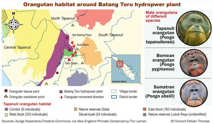 Orangutan habitat around Batang Toru hydropwer plant.
