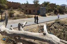 War-weary Yemenis fell trees for fuel, cash