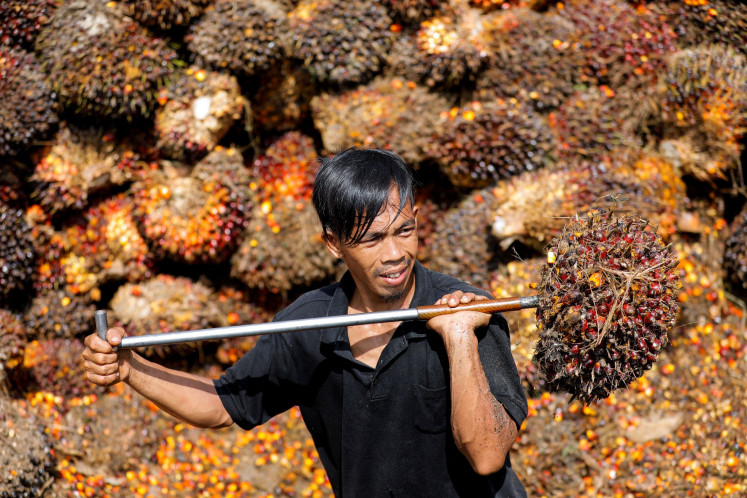A worker uses a special tool on April 27, 2022 to haul fresh fruit bunches (FFB) at a palm oil plantation in Pekanbaru, Riau, for loading and then transporting to a crude palm oil processing factory.