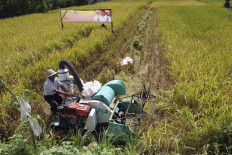 Data-driven policy for better food security