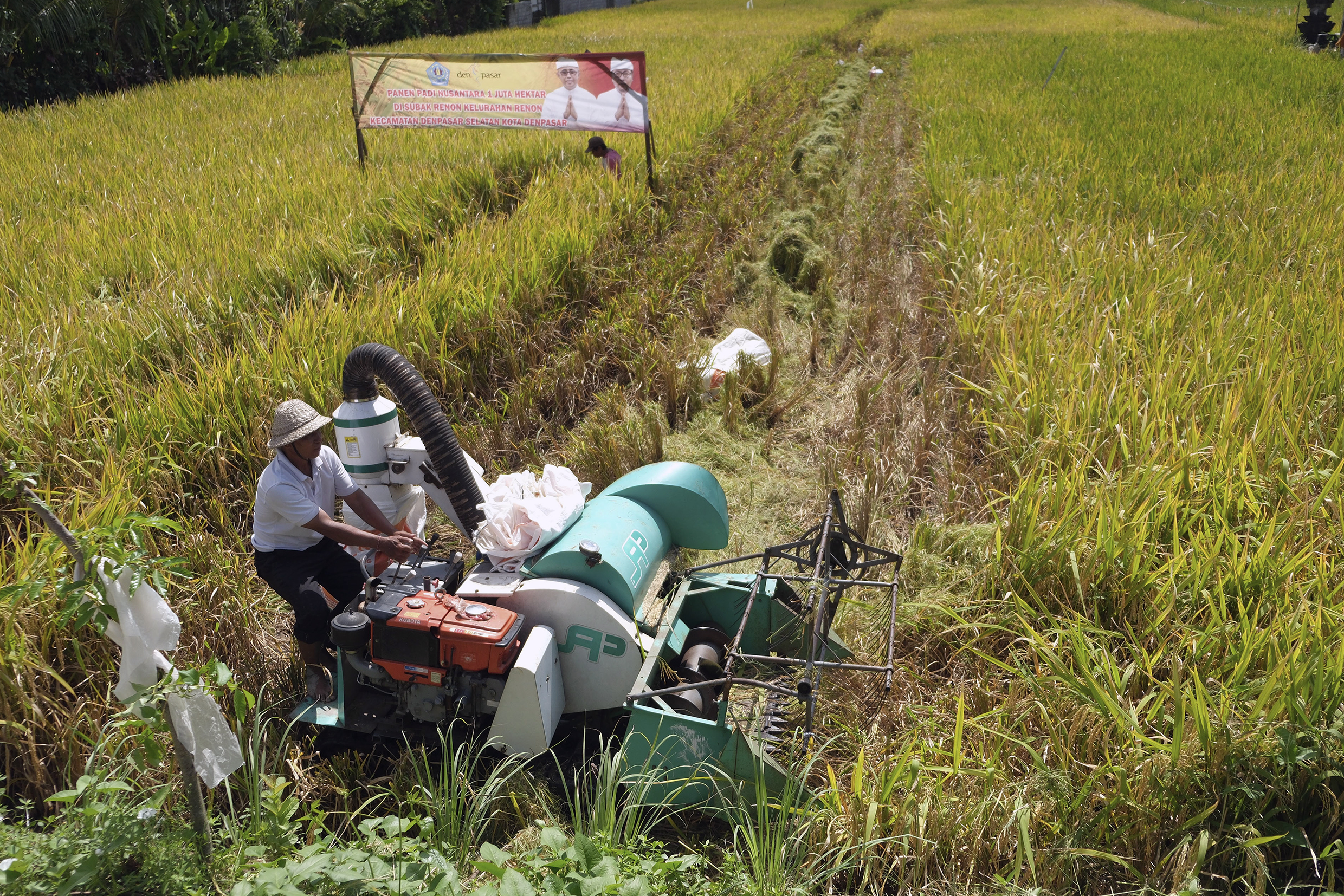 Data-driven policy for better food security - Vimarsana News