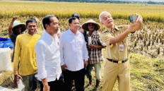 Jokowi plays down billboards in PDI-P stronghold featuring him and Prabowo