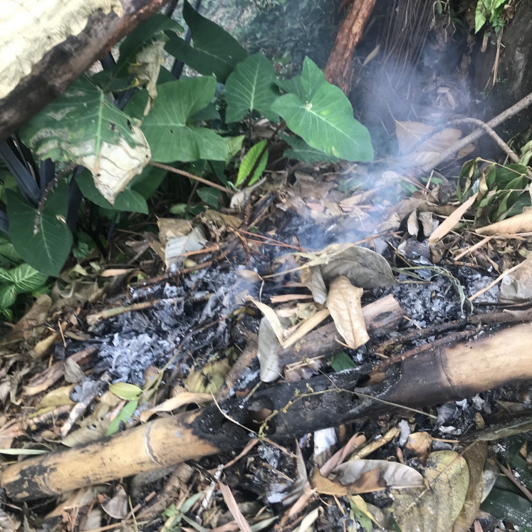 Up in flames: Waste being burned (JP/Tunggul Wirajuda)