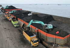 Govt mulls mandatory use of benchmark price for coal exports