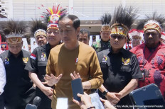 New Zealand pilot's safe release is priority: Jokowi