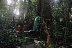 Good governance integral to green financing West Papua development