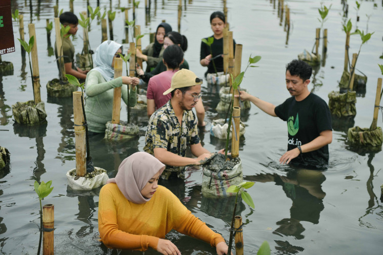 Effective: Planting mangroves is one of the effective ways to offset carbon. (Courtesy of BASE)