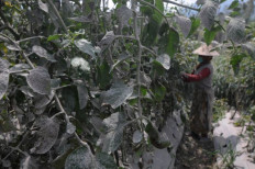 Mandatory insurance program is urgently needed in Indonesia