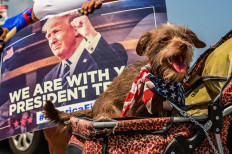 Benji, a dog belonging to a supporter of former United States President Donald Trump, sits near the Mar-a-Lago Club in Palm Beach, Florida, the US, on April 2, 2023. Trump is expected to surrender to the authorities in New York on April 4, 2023 to face charges over a hush-money payment to porn star Stormy Daniels.

