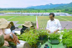 Rumpin Nursery : A Public-Private Partnership in Achieving Indonesia’s Climate Goals
