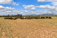 As world's poor face 'compounding crises', what could curb risks?