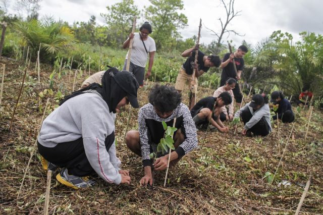 Tropical peatland key to national security and defense system ...